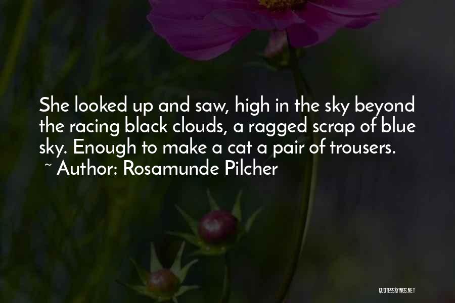 Rosamunde Pilcher Quotes: She Looked Up And Saw, High In The Sky Beyond The Racing Black Clouds, A Ragged Scrap Of Blue Sky.