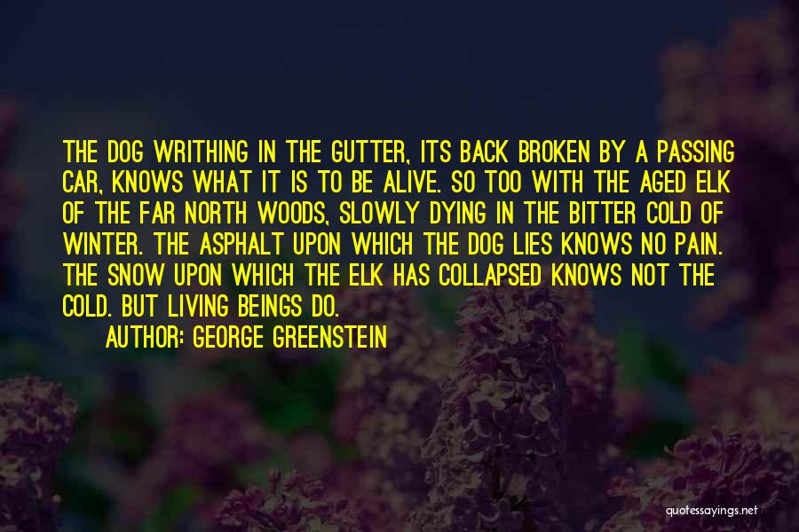 George Greenstein Quotes: The Dog Writhing In The Gutter, Its Back Broken By A Passing Car, Knows What It Is To Be Alive.