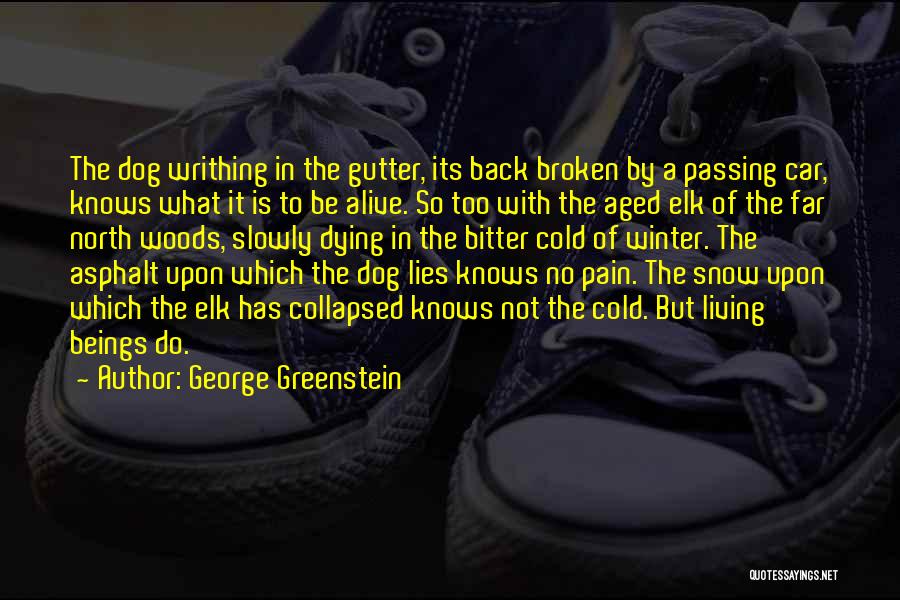 George Greenstein Quotes: The Dog Writhing In The Gutter, Its Back Broken By A Passing Car, Knows What It Is To Be Alive.