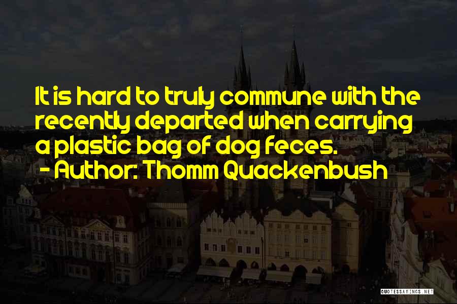 Thomm Quackenbush Quotes: It Is Hard To Truly Commune With The Recently Departed When Carrying A Plastic Bag Of Dog Feces.