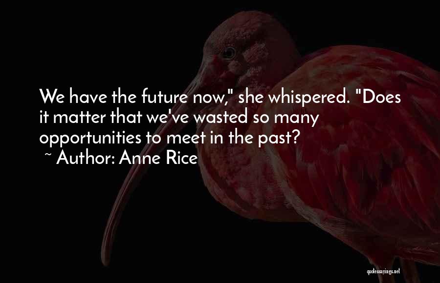 Anne Rice Quotes: We Have The Future Now, She Whispered. Does It Matter That We've Wasted So Many Opportunities To Meet In The