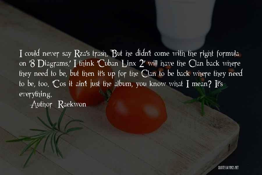 Raekwon Quotes: I Could Never Say Rza's Trash. But He Didn't Come With The Right Formula On '8 Diagrams.' I Think 'cuban