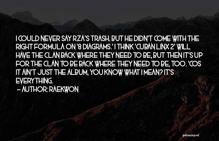 Raekwon Quotes: I Could Never Say Rza's Trash. But He Didn't Come With The Right Formula On '8 Diagrams.' I Think 'cuban