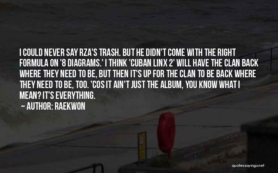 Raekwon Quotes: I Could Never Say Rza's Trash. But He Didn't Come With The Right Formula On '8 Diagrams.' I Think 'cuban