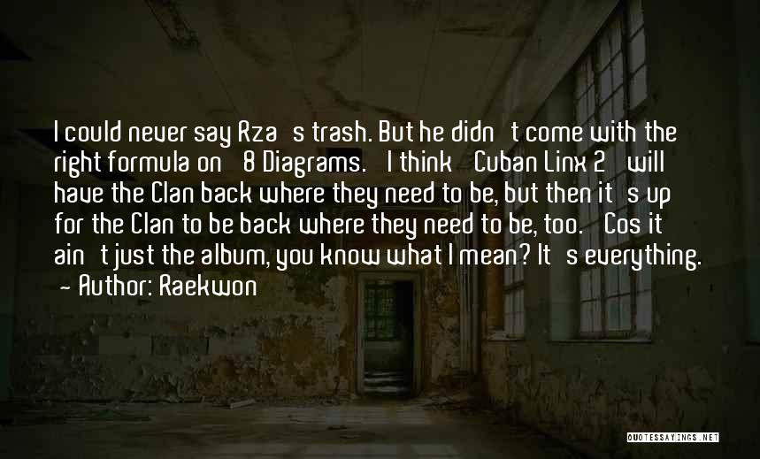 Raekwon Quotes: I Could Never Say Rza's Trash. But He Didn't Come With The Right Formula On '8 Diagrams.' I Think 'cuban