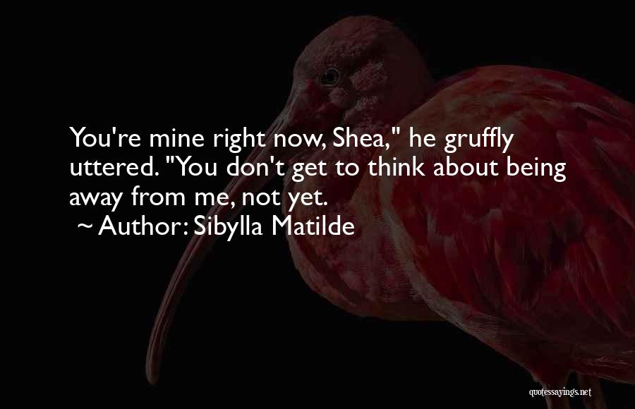 Sibylla Matilde Quotes: You're Mine Right Now, Shea, He Gruffly Uttered. You Don't Get To Think About Being Away From Me, Not Yet.