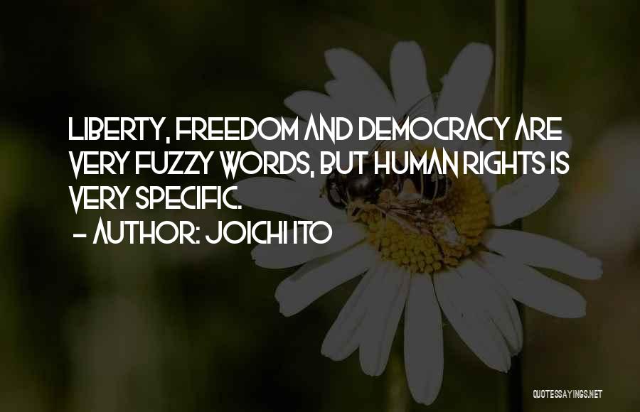 Joichi Ito Quotes: Liberty, Freedom And Democracy Are Very Fuzzy Words, But Human Rights Is Very Specific.