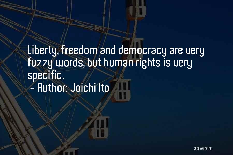 Joichi Ito Quotes: Liberty, Freedom And Democracy Are Very Fuzzy Words, But Human Rights Is Very Specific.