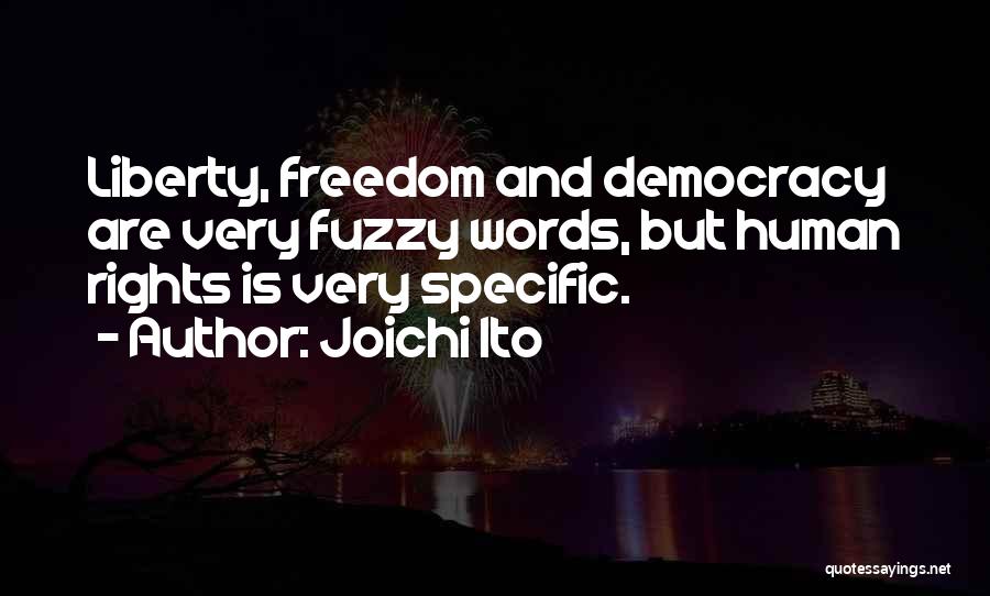 Joichi Ito Quotes: Liberty, Freedom And Democracy Are Very Fuzzy Words, But Human Rights Is Very Specific.