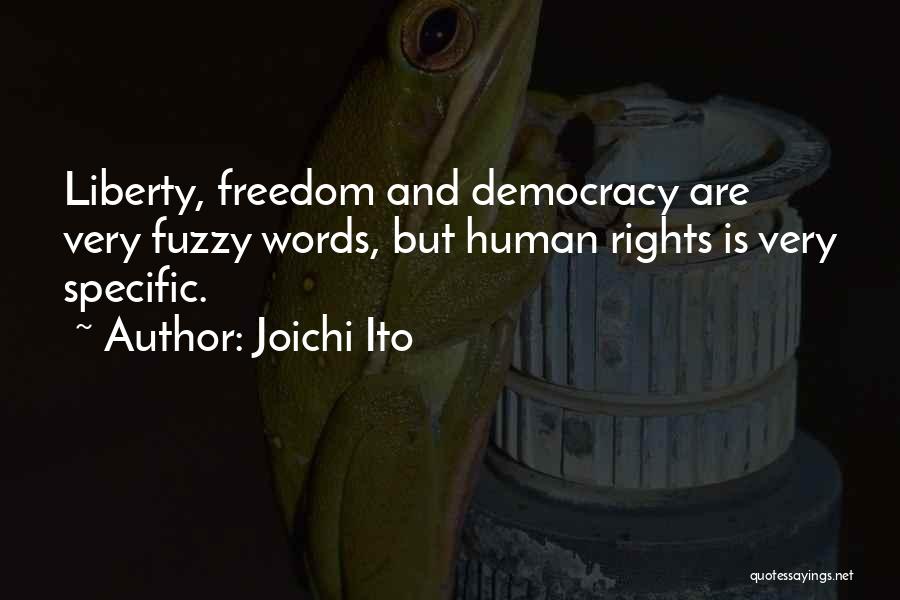 Joichi Ito Quotes: Liberty, Freedom And Democracy Are Very Fuzzy Words, But Human Rights Is Very Specific.