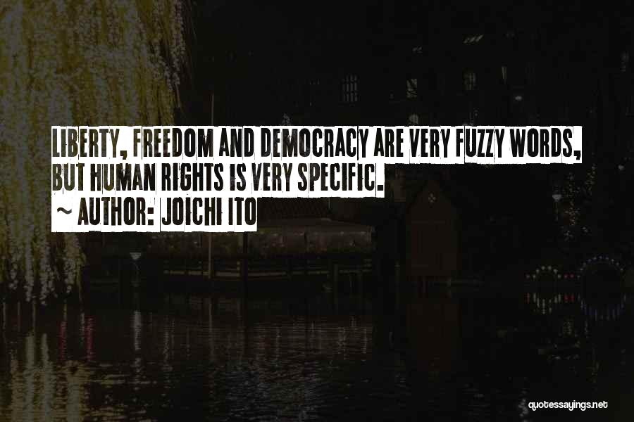 Joichi Ito Quotes: Liberty, Freedom And Democracy Are Very Fuzzy Words, But Human Rights Is Very Specific.