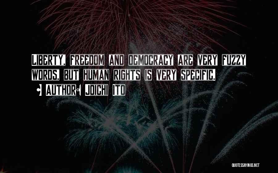 Joichi Ito Quotes: Liberty, Freedom And Democracy Are Very Fuzzy Words, But Human Rights Is Very Specific.