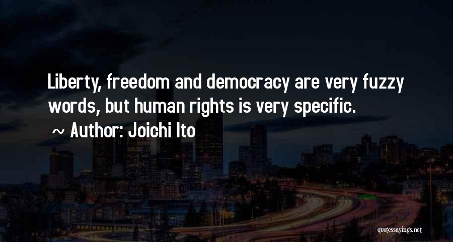 Joichi Ito Quotes: Liberty, Freedom And Democracy Are Very Fuzzy Words, But Human Rights Is Very Specific.