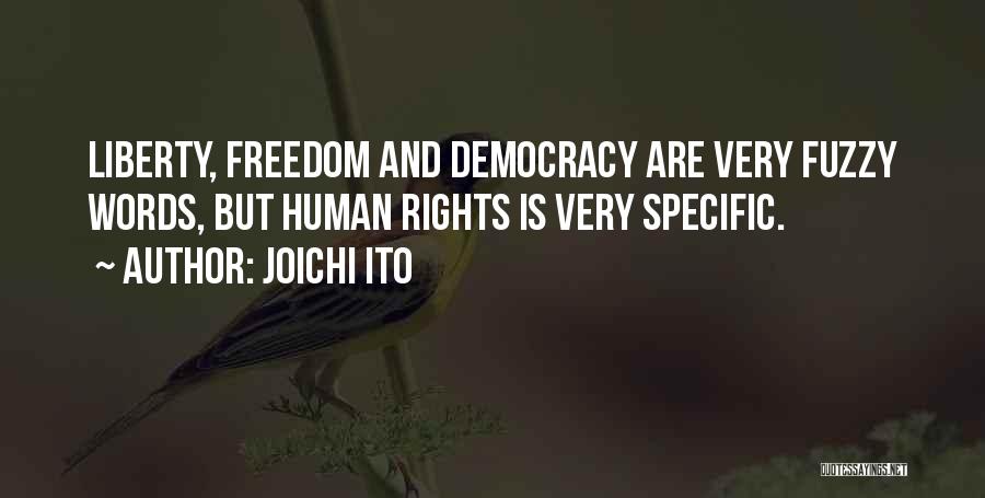 Joichi Ito Quotes: Liberty, Freedom And Democracy Are Very Fuzzy Words, But Human Rights Is Very Specific.