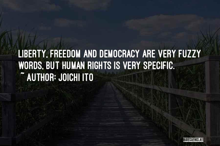 Joichi Ito Quotes: Liberty, Freedom And Democracy Are Very Fuzzy Words, But Human Rights Is Very Specific.