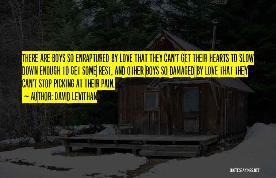 David Levithan Quotes: There Are Boys So Enraptured By Love That They Can't Get Their Hearts To Slow Down Enough To Get Some