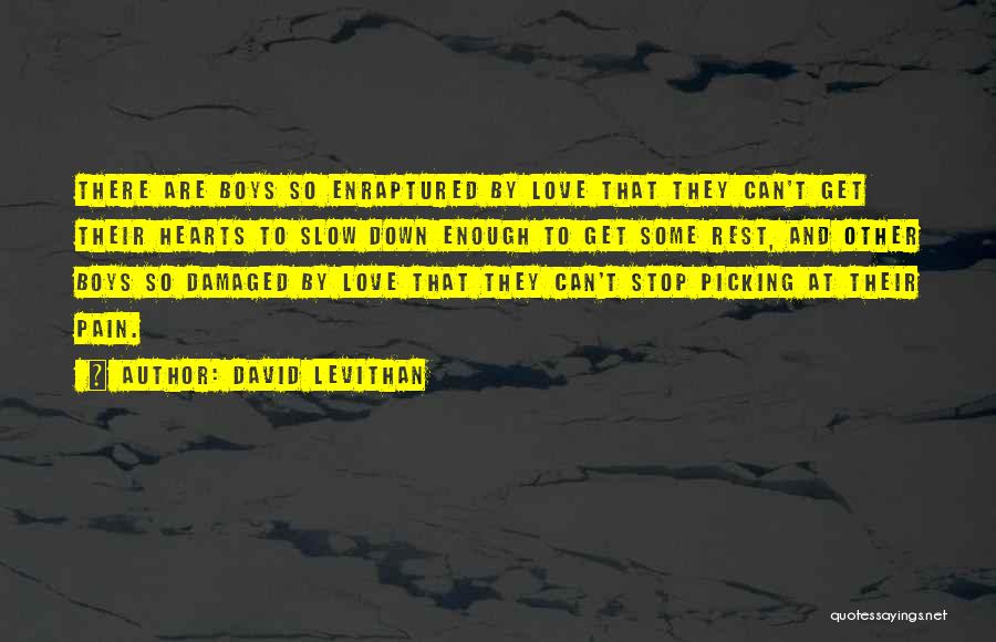 David Levithan Quotes: There Are Boys So Enraptured By Love That They Can't Get Their Hearts To Slow Down Enough To Get Some