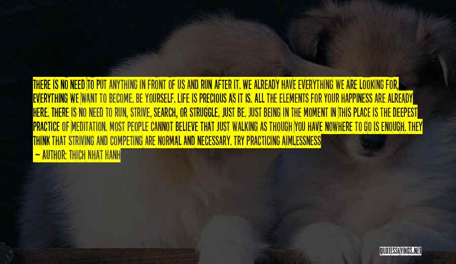 Thich Nhat Hanh Quotes: There Is No Need To Put Anything In Front Of Us And Run After It. We Already Have Everything We