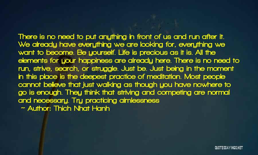 Thich Nhat Hanh Quotes: There Is No Need To Put Anything In Front Of Us And Run After It. We Already Have Everything We