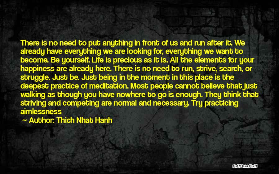 Thich Nhat Hanh Quotes: There Is No Need To Put Anything In Front Of Us And Run After It. We Already Have Everything We