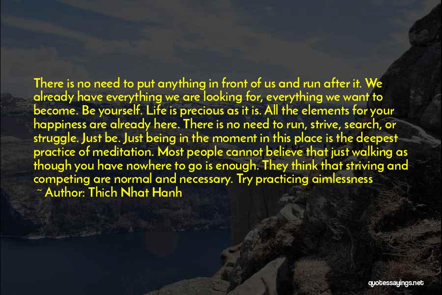 Thich Nhat Hanh Quotes: There Is No Need To Put Anything In Front Of Us And Run After It. We Already Have Everything We