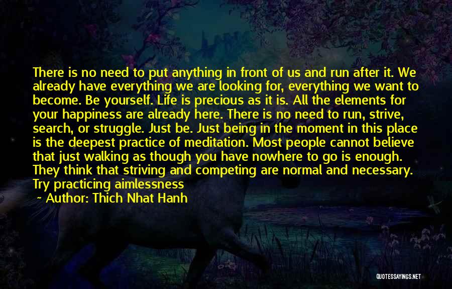 Thich Nhat Hanh Quotes: There Is No Need To Put Anything In Front Of Us And Run After It. We Already Have Everything We