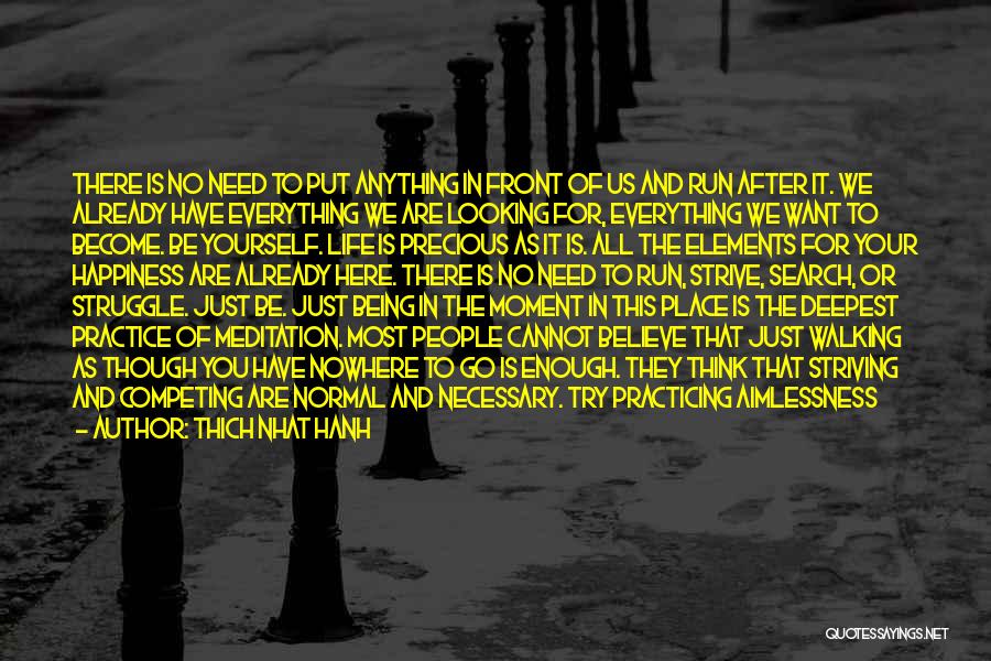 Thich Nhat Hanh Quotes: There Is No Need To Put Anything In Front Of Us And Run After It. We Already Have Everything We