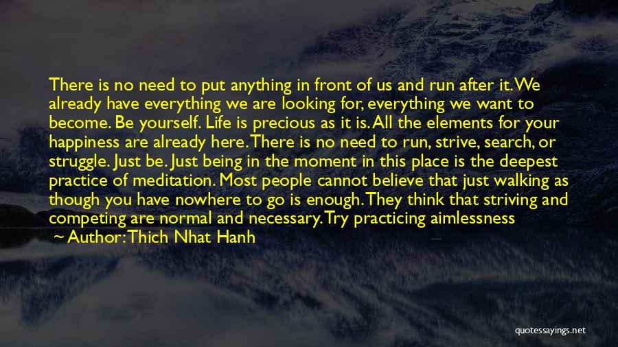 Thich Nhat Hanh Quotes: There Is No Need To Put Anything In Front Of Us And Run After It. We Already Have Everything We