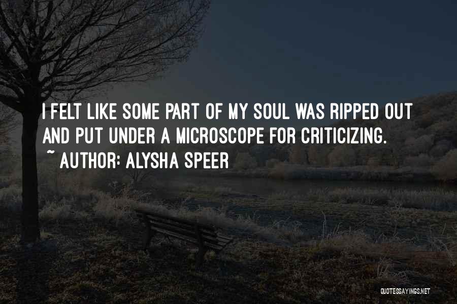 Alysha Speer Quotes: I Felt Like Some Part Of My Soul Was Ripped Out And Put Under A Microscope For Criticizing.