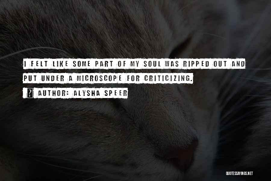Alysha Speer Quotes: I Felt Like Some Part Of My Soul Was Ripped Out And Put Under A Microscope For Criticizing.