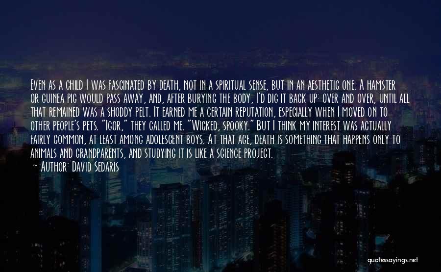 David Sedaris Quotes: Even As A Child I Was Fascinated By Death, Not In A Spiritual Sense, But In An Aesthetic One. A