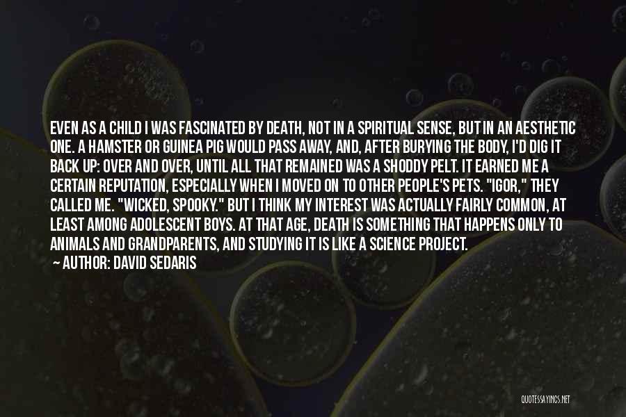 David Sedaris Quotes: Even As A Child I Was Fascinated By Death, Not In A Spiritual Sense, But In An Aesthetic One. A