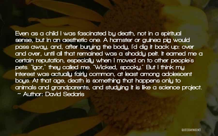 David Sedaris Quotes: Even As A Child I Was Fascinated By Death, Not In A Spiritual Sense, But In An Aesthetic One. A