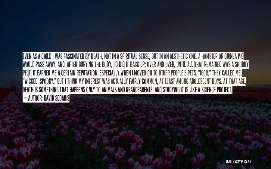 David Sedaris Quotes: Even As A Child I Was Fascinated By Death, Not In A Spiritual Sense, But In An Aesthetic One. A