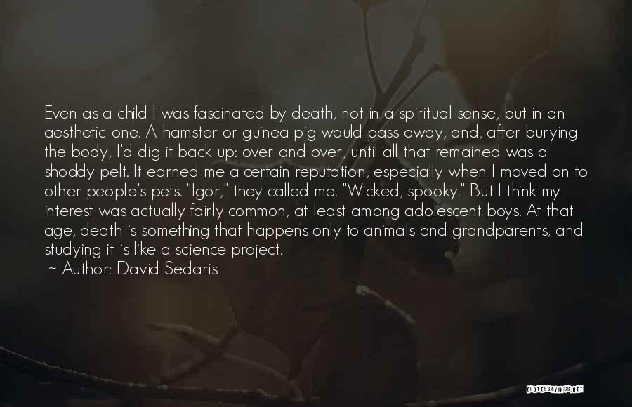 David Sedaris Quotes: Even As A Child I Was Fascinated By Death, Not In A Spiritual Sense, But In An Aesthetic One. A