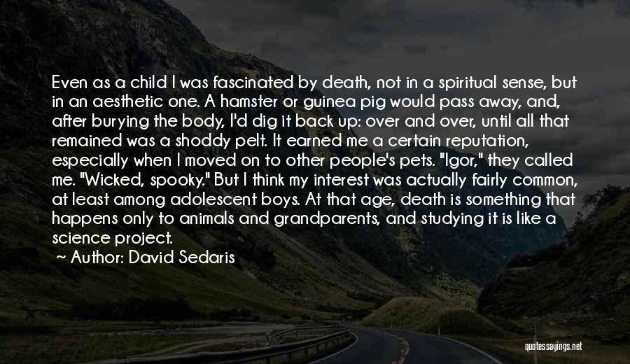 David Sedaris Quotes: Even As A Child I Was Fascinated By Death, Not In A Spiritual Sense, But In An Aesthetic One. A