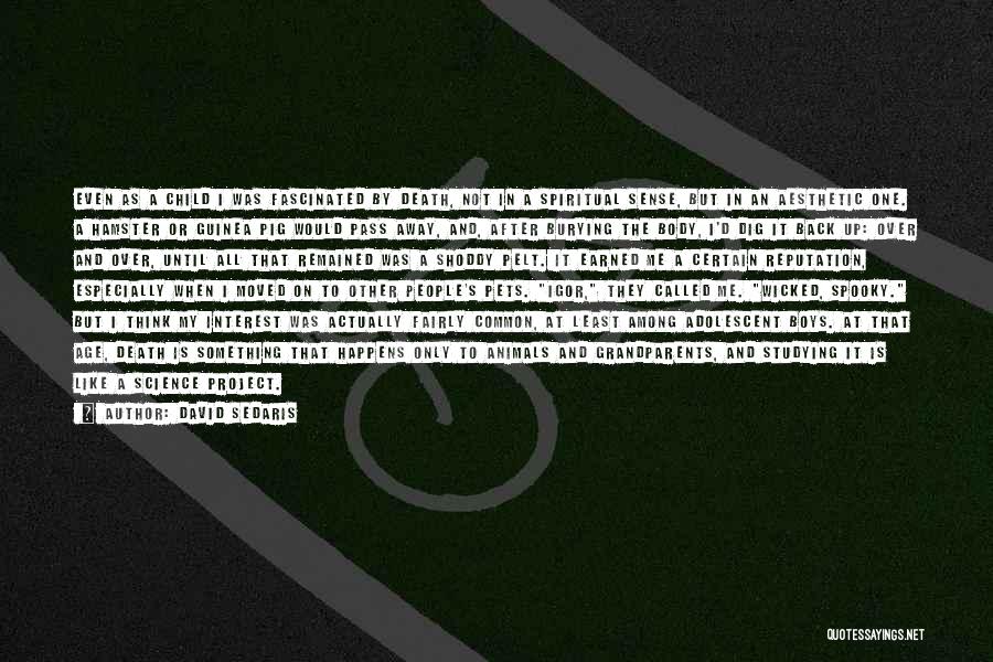 David Sedaris Quotes: Even As A Child I Was Fascinated By Death, Not In A Spiritual Sense, But In An Aesthetic One. A