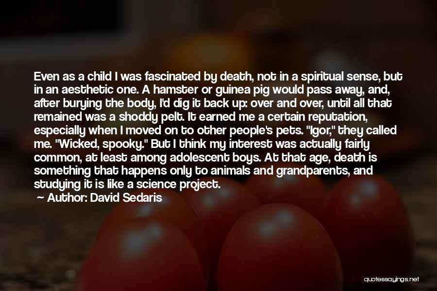 David Sedaris Quotes: Even As A Child I Was Fascinated By Death, Not In A Spiritual Sense, But In An Aesthetic One. A