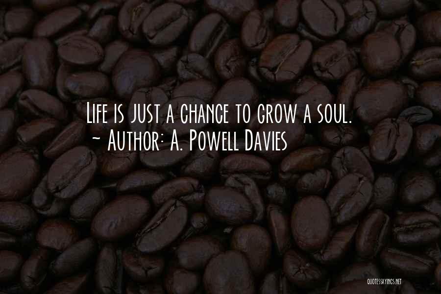 A. Powell Davies Quotes: Life Is Just A Chance To Grow A Soul.
