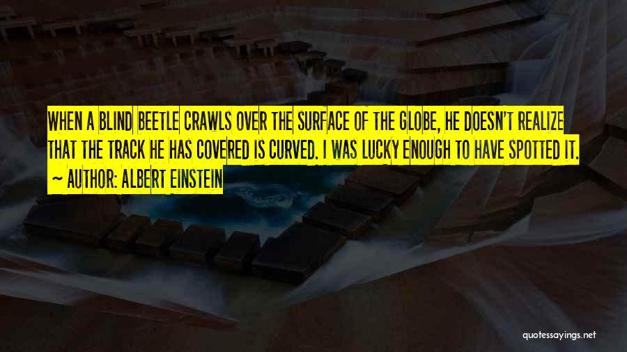 Albert Einstein Quotes: When A Blind Beetle Crawls Over The Surface Of The Globe, He Doesn't Realize That The Track He Has Covered