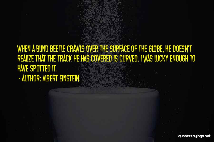Albert Einstein Quotes: When A Blind Beetle Crawls Over The Surface Of The Globe, He Doesn't Realize That The Track He Has Covered