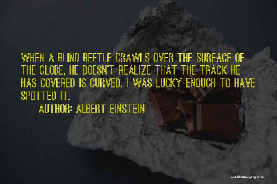 Albert Einstein Quotes: When A Blind Beetle Crawls Over The Surface Of The Globe, He Doesn't Realize That The Track He Has Covered