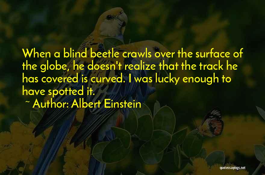 Albert Einstein Quotes: When A Blind Beetle Crawls Over The Surface Of The Globe, He Doesn't Realize That The Track He Has Covered