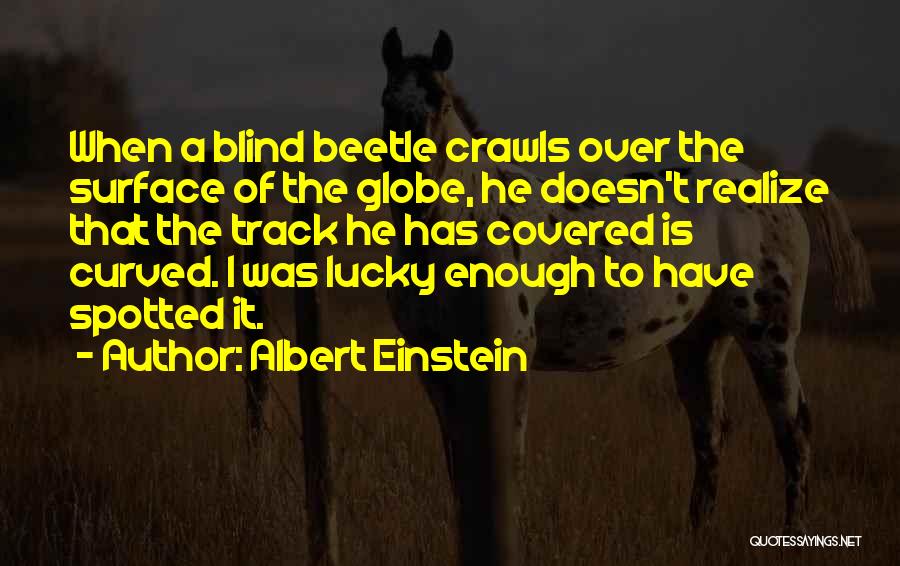 Albert Einstein Quotes: When A Blind Beetle Crawls Over The Surface Of The Globe, He Doesn't Realize That The Track He Has Covered