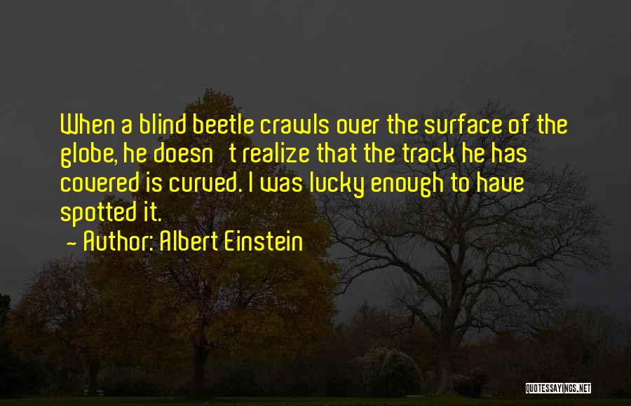 Albert Einstein Quotes: When A Blind Beetle Crawls Over The Surface Of The Globe, He Doesn't Realize That The Track He Has Covered
