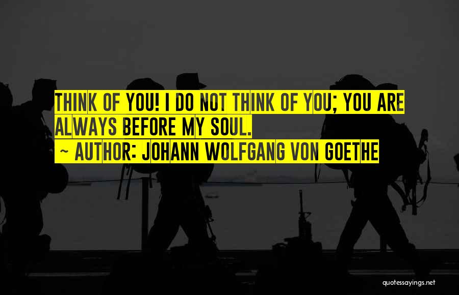 Johann Wolfgang Von Goethe Quotes: Think Of You! I Do Not Think Of You; You Are Always Before My Soul.