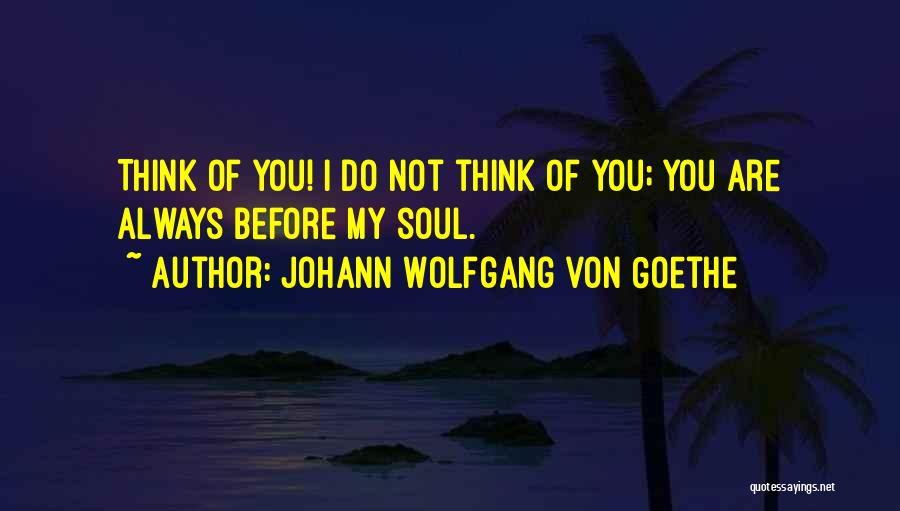 Johann Wolfgang Von Goethe Quotes: Think Of You! I Do Not Think Of You; You Are Always Before My Soul.