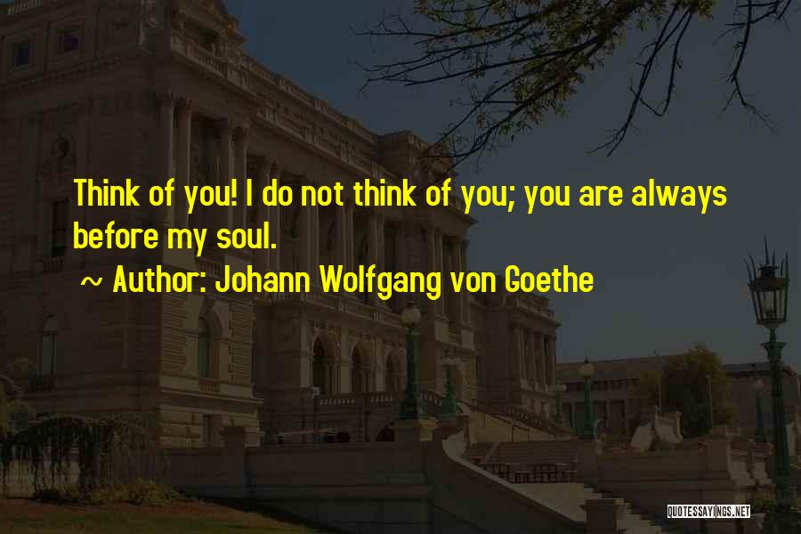 Johann Wolfgang Von Goethe Quotes: Think Of You! I Do Not Think Of You; You Are Always Before My Soul.