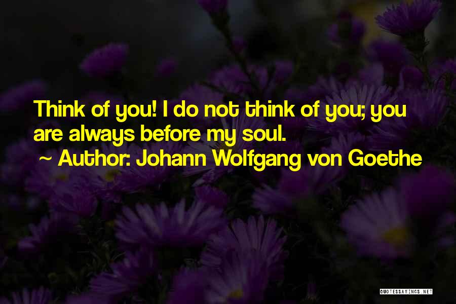 Johann Wolfgang Von Goethe Quotes: Think Of You! I Do Not Think Of You; You Are Always Before My Soul.