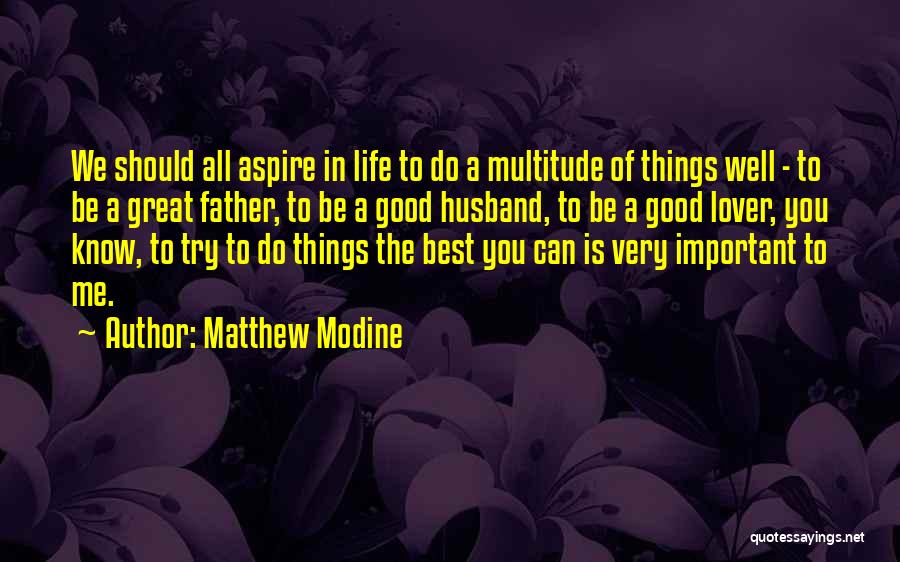 Matthew Modine Quotes: We Should All Aspire In Life To Do A Multitude Of Things Well - To Be A Great Father, To